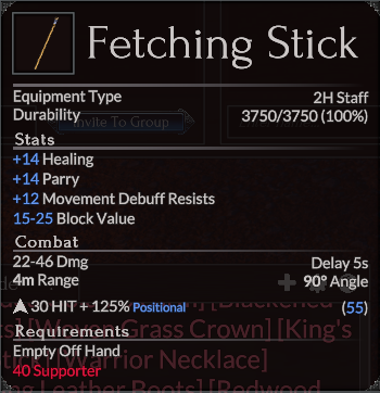 Fetching Stick