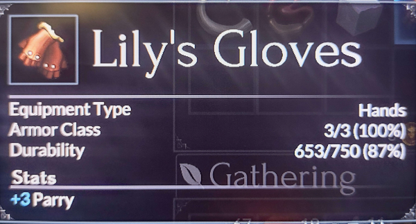 Lily's Gloves