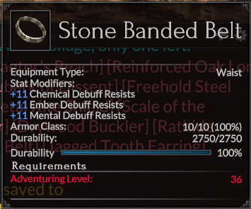 Stone Banded Belt